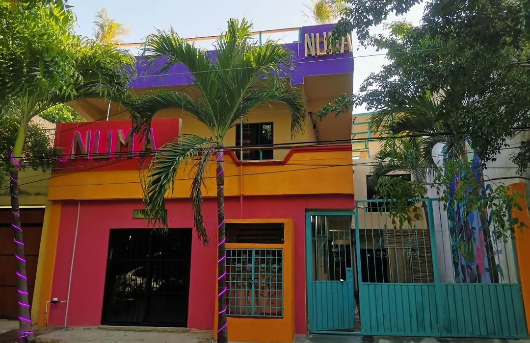 Numa Hotel Boutique-1